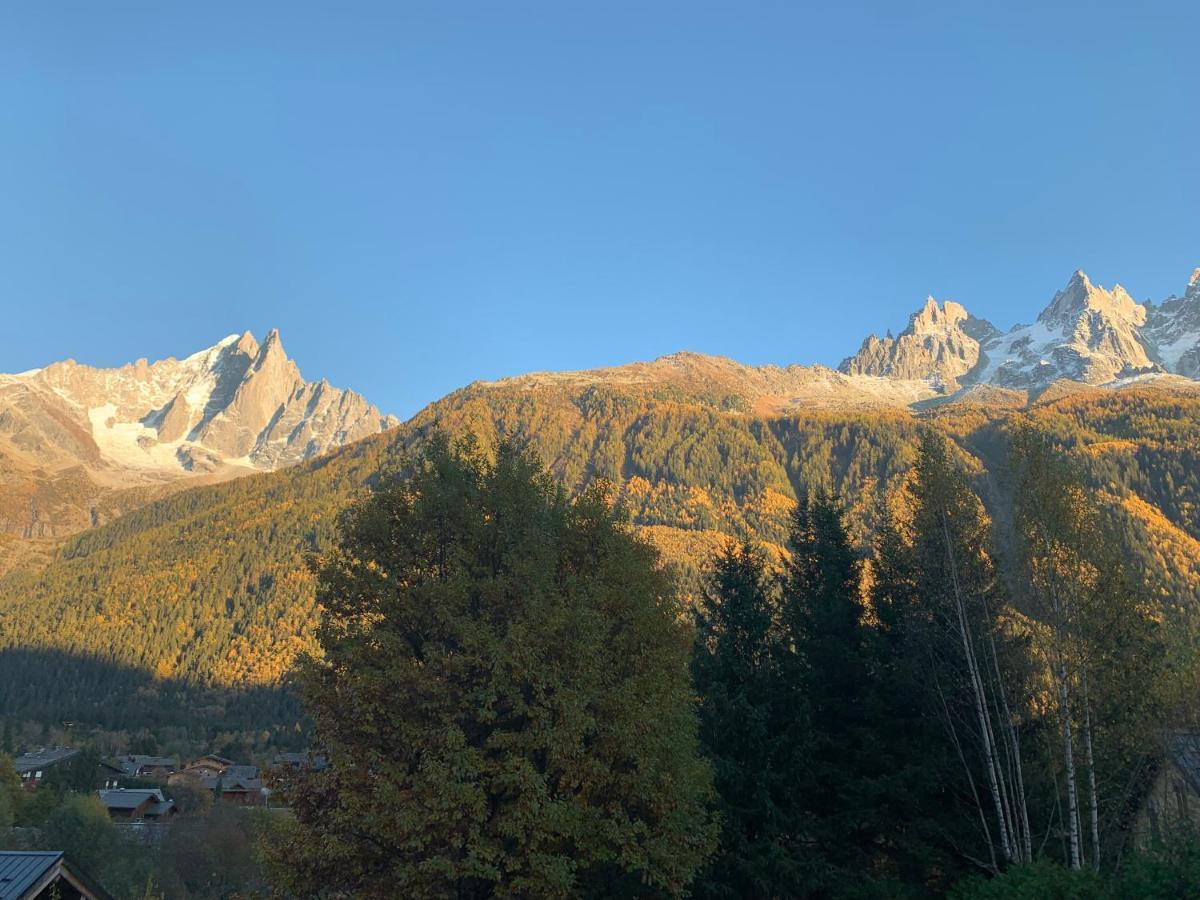 Chalet Le Point De Vue Chamonix Kültér fotó